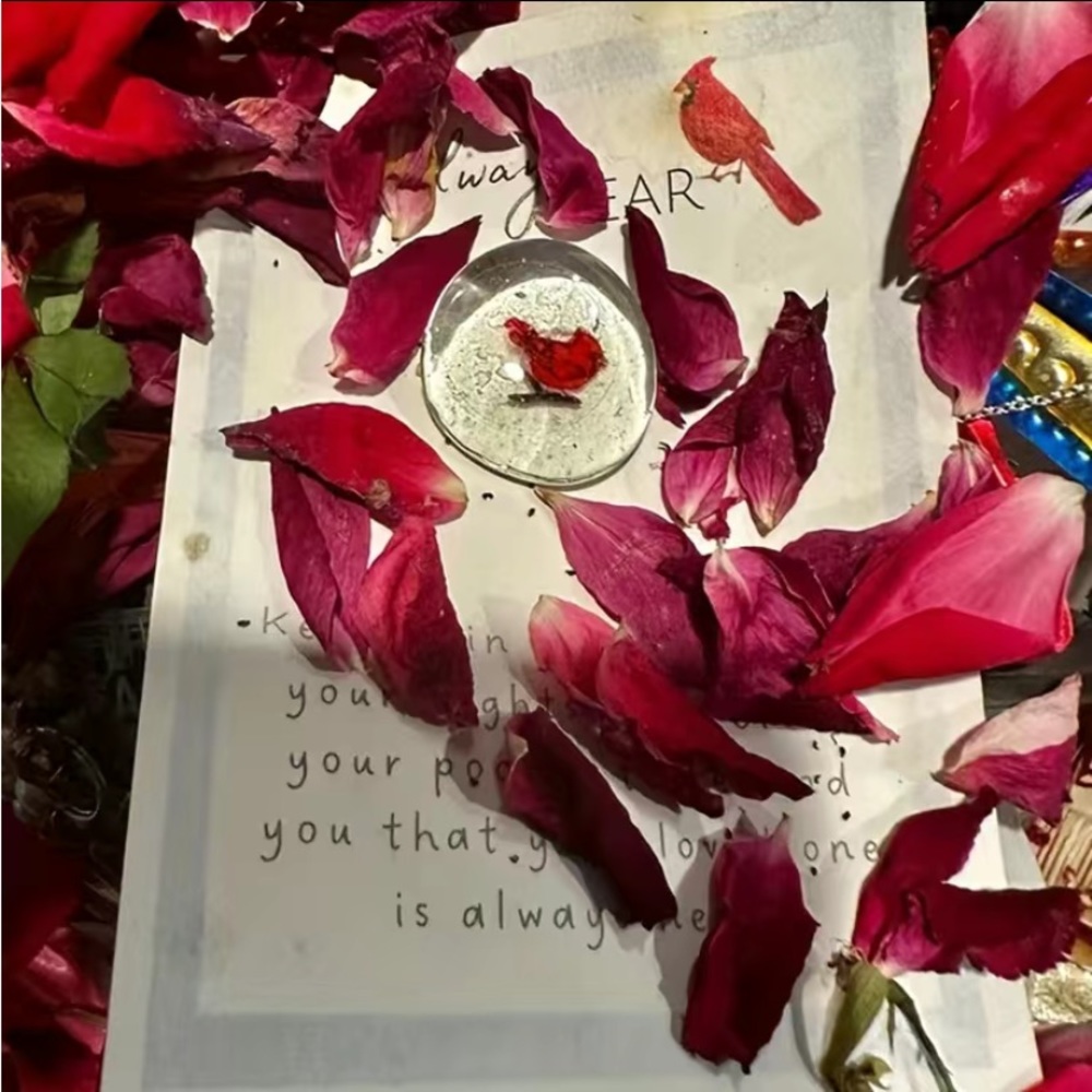 NEW Remembrance Cardinal Keepsake Token Gift with card - Picture 3 of 4